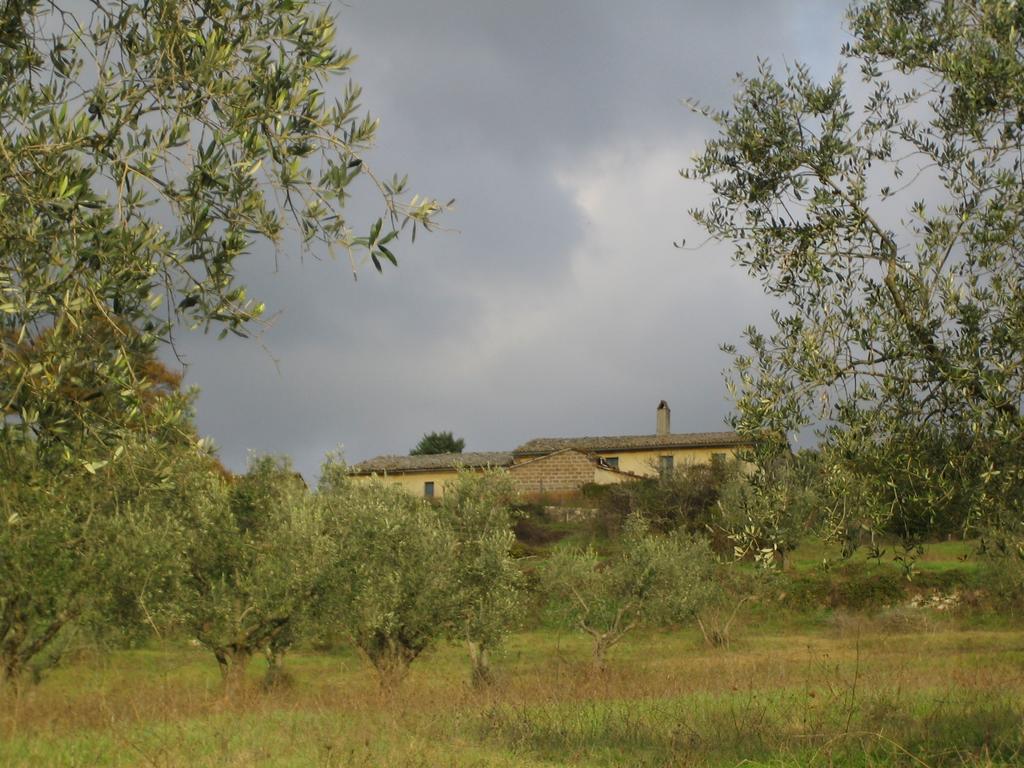 הוילה אקואפנדנטה Agriturismo Le Roghete מראה חיצוני תמונה