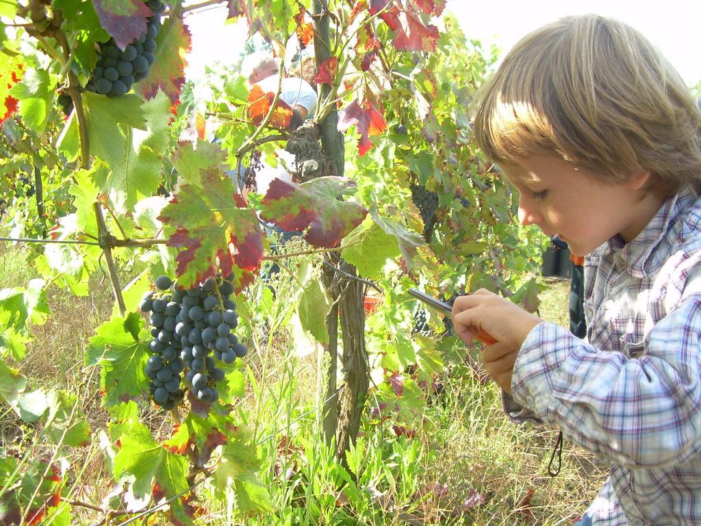 הוילה אקואפנדנטה Agriturismo Le Roghete מראה חיצוני תמונה