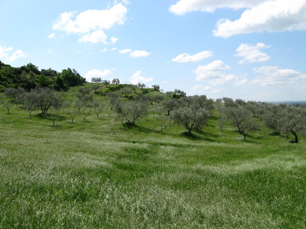 הוילה אקואפנדנטה Agriturismo Le Roghete מראה חיצוני תמונה